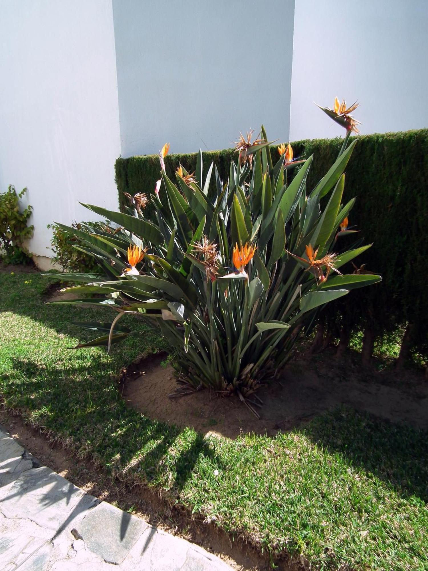 Apartamento Nerja Playa Burriana 外观 照片